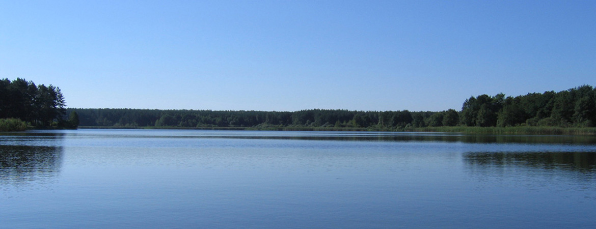 Місце впадання річки Гуйви в річку Тетерів
